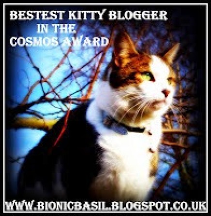 bestest-kitty-blogger-award